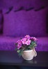 aroma_hotel_sithonia_room_flowers
