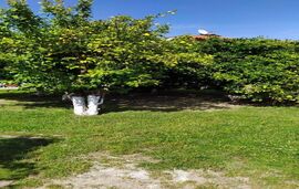 Peter's Traditional House, Sykia, Sithonia