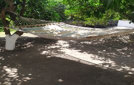 Peter's Traditional House, Sykia, Sithonia