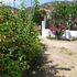 Peter's Traditional House, Sykia, Sithonia