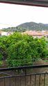 Peter's Traditional House, Sykia, Sithonia