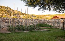 Olive Garden House, Toroni, Sithonia