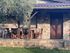 Olive Garden House, Toroni, Sithonia