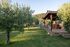 Olive Garden House, Toroni, Sithonia