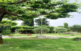 Kipos SS Residences, Dassia, Corfu