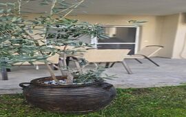 Ageri 2 Beach Front House, Hanioti, Kassandra