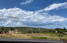 Aphrodites Gardens Apartment, Ormos Panagias, Sithonia