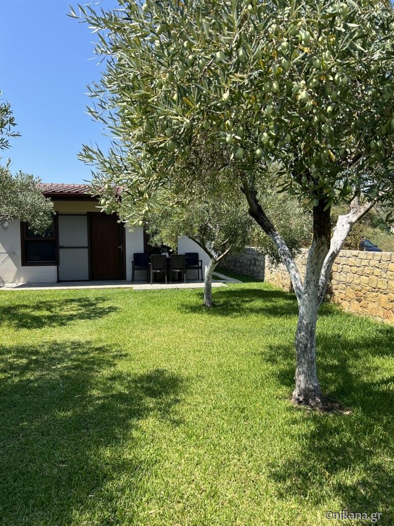 Olive Yard House, Toroni, Sithonia