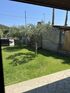 Olive Yard House, Toroni, Sithonia