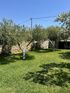 Olive Yard House, Toroni, Sithonia