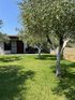 Olive Yard House, Toroni, Sithonia