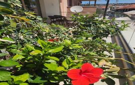 Theros Summer Suites, Nikiti, Sithonia