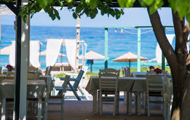 Kako naručiti hranu u Grčkoj   najvažnije fraze za turiste, Blog, Blog