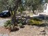 Koula Studios 2, Potos, Thassos