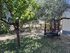 Koula Studios 2, Potos, Thassos