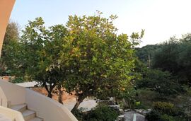 Perithia Cottage, Agios Ilias, Corfu
