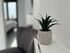 Stella`s Petite Studios, Psakoudia, Sithonia