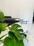 Stella`s Petite Studios, Psakoudia, Sithonia