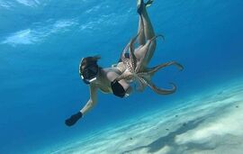 naslovna-fotografija-našeg-člana-na-live-from-greece-facebook-grupi-2022-godine