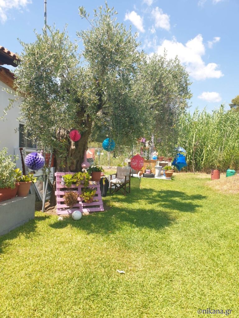 Green Paradise Studio, Toroni, Sithonia