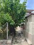 CK Apartment, Sykia, Sithonia