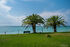 Dimana Maisonette, Skala Fourka beach, Kassandra