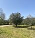 Nostos Villa, Sykia, Sithonia