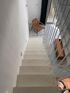 White Zoha Villas, Toroni, Sithonia