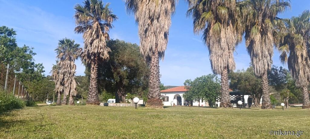 Palmview House, Kalamitsi, Sithonia