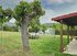 Sias Cozy Studio, Sykia, Sithonia