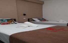 Molon Lave Hotel, Nea Rodha, Athos