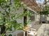 Serenity Homes By The Sea Apartments, Gerakini, Sithonia