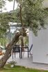 Silia Villa, Ormos Panagias, Sithonia
