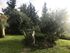 Fairytales Luxury Apartment, Viros, Corfu
