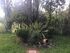 Fairytales Luxury Apartment, Viros, Corfu