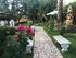 Fairytales Luxury Apartment, Viros, Corfu