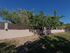 Figtree Nest House, Ormos Panagias, Sithonia