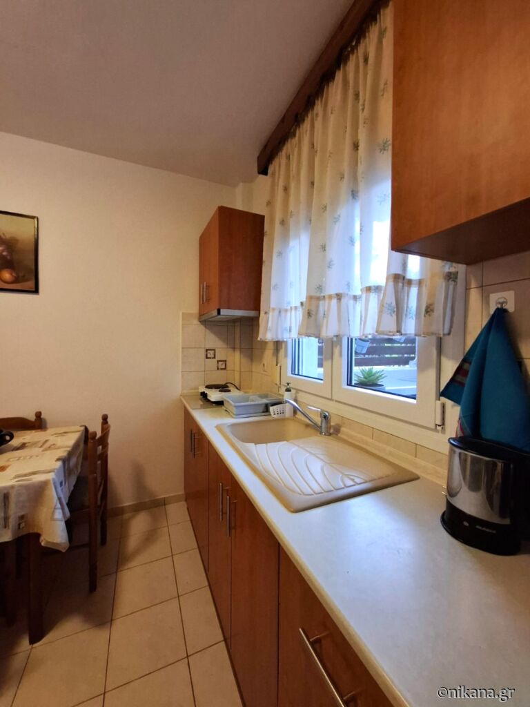 Antriana House, Fourka, Kassandra
