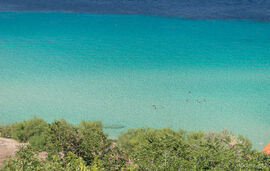 Salt And Pine Apartment, Kallithea, Kassandra