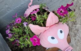 Anatolia Garden Apartments, Sarti, Sithonia