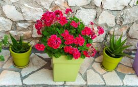 San Lazzaro Sea View Apartments, Nidri, Lefkada