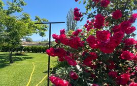 Angel’s Heaven Home, Sykia, Sithonia