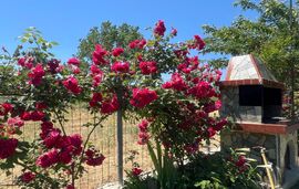 Angel’s Heaven Home, Sykia, Sithonia