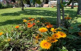 Angel’s Heaven Home, Sykia, Sithonia