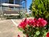 Angel’s Heaven Home, Sykia, Sithonia