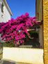 Cozy Nest Apartment, Nikiti, Sithonia