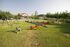 Zephyros Family Apartments, Ormos Panagias, Sithonia