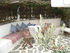 Hara's House, Gerakini, Sithonia