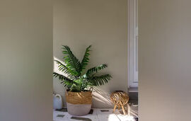 Toptsis Boutique Rooms, Skala Potamia, Thassos, No.302 Afendria