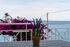 Anesis Seaview Apartments, Neos Marmaras, Sithonia